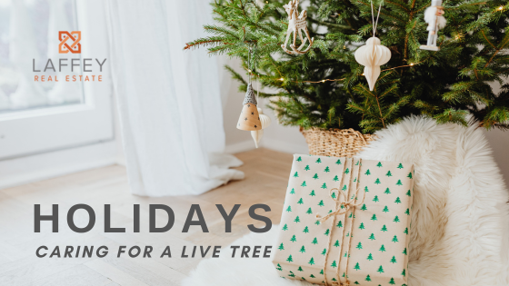 Make Sure Your Tree Lasts All Season Long | Laffey Real Estate